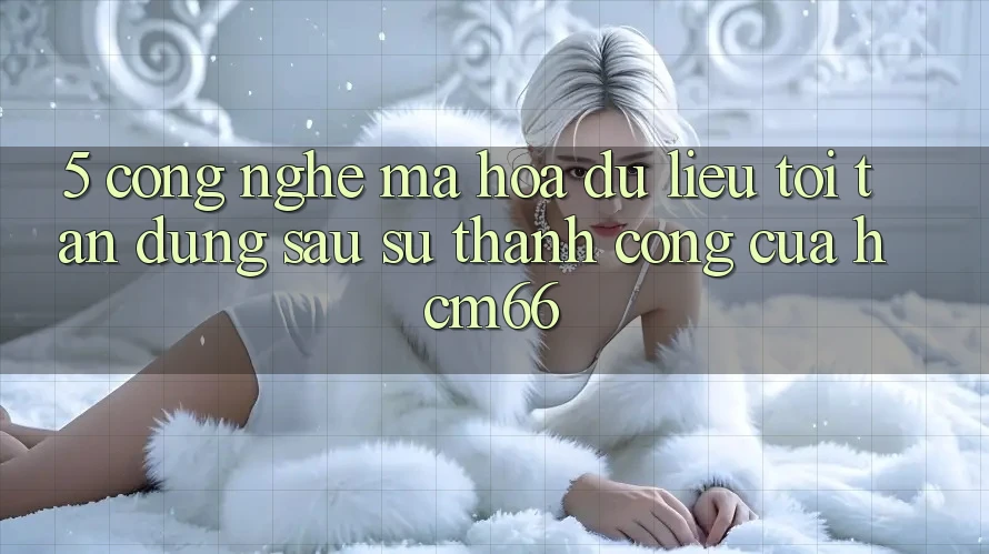 5. Công nghệ mã hóa dữ liệu tối tân đứng sau sự thành công của hcm66 5. Công nghệ mã hóa dữ liệu tối tân đứng sau sự thành công của hcm66