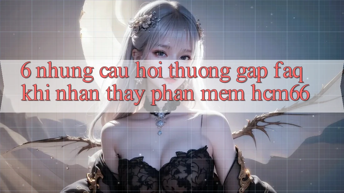 6. Những câu hỏi thường gặp (FAQ) khi nhận thấy Phần mềm hcm66