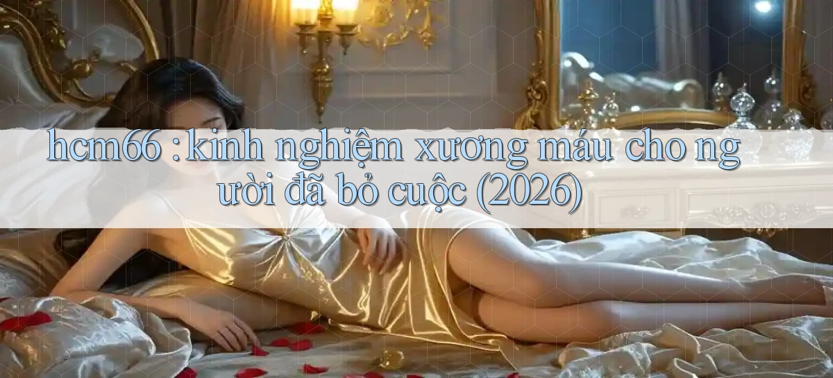 hcm66 kinh nghiệm xương máu cho người đã bỏ cuộc (2026)
