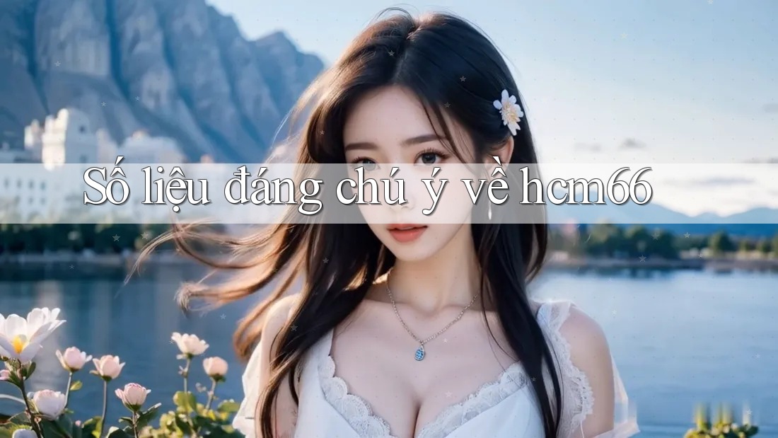 Số liệu đáng chú ý về hcm66